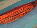 Inneres_Leuchten_detail
